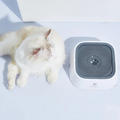 "Transform Your Pet’s Hydration Experience Today"
