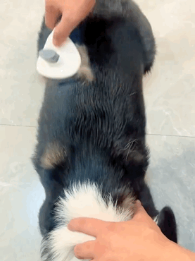 Pet Hair Remover Brush