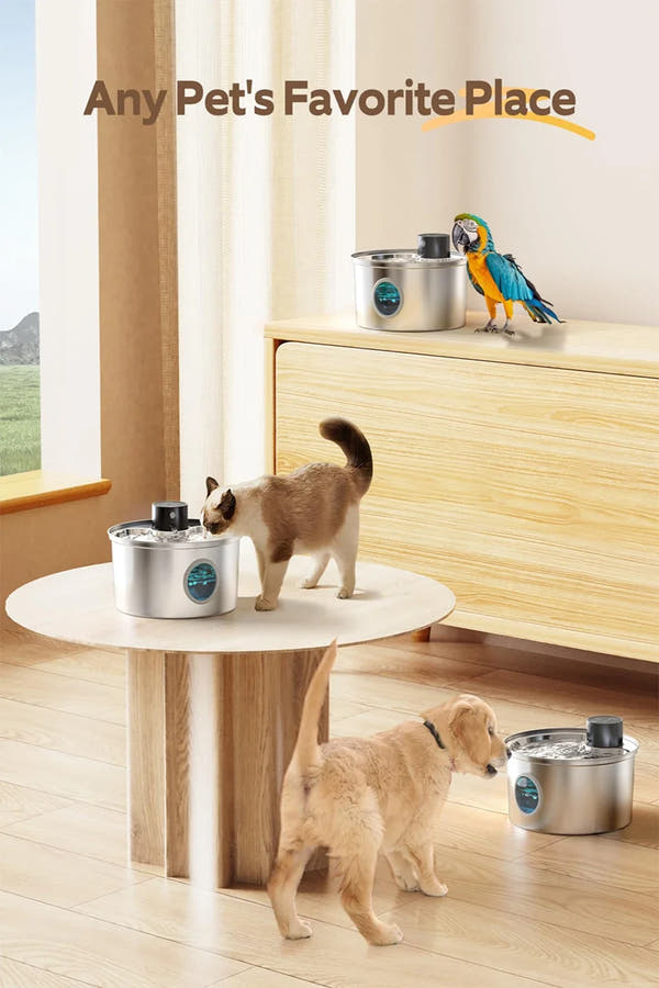 Cat Water Fountain with Automatic Sensor Battery Powered