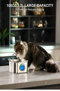 Filters For Pet Water Feeder